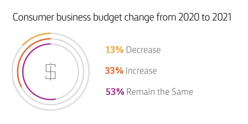 Chart: Consumer Business Budget Change from 2020 to 2021